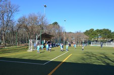 DSC_0015.JPG
